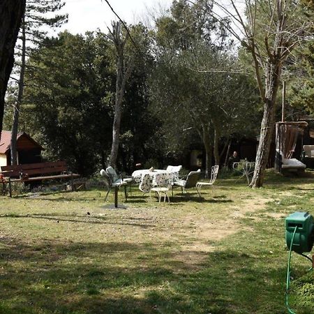 MDQ - Azienda Agricola Castiglione dʼOrcia Exterior foto